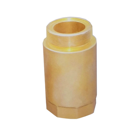 Liquid Check Valve for FM200 Cylinder