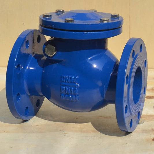 Swing Check Valve（ANSI Flange）