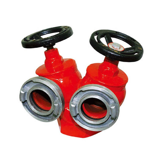 Double valve Indoor fire hydrant