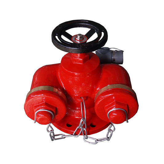 Multipurpose Fire Department Connection