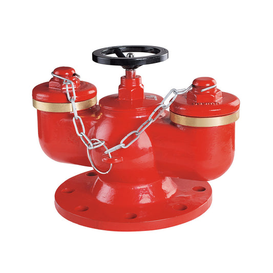 Multipurpose Fire Department Connection