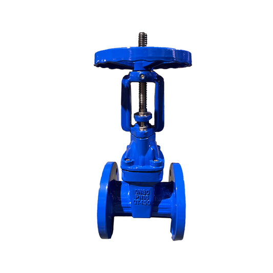 OSY Gate Valve (ANSI Flange)