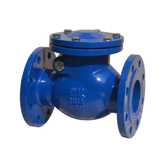 Swing Check Valve（ANSI Flange）
